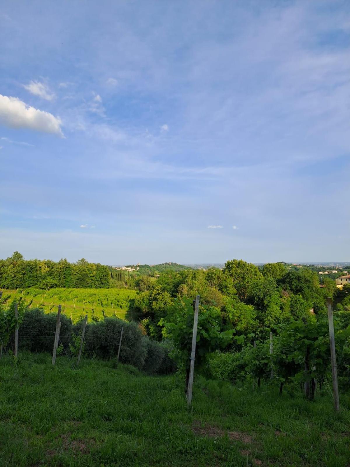 Bed and Breakfast Casa Di Tuco Conegliano Zewnętrze zdjęcie