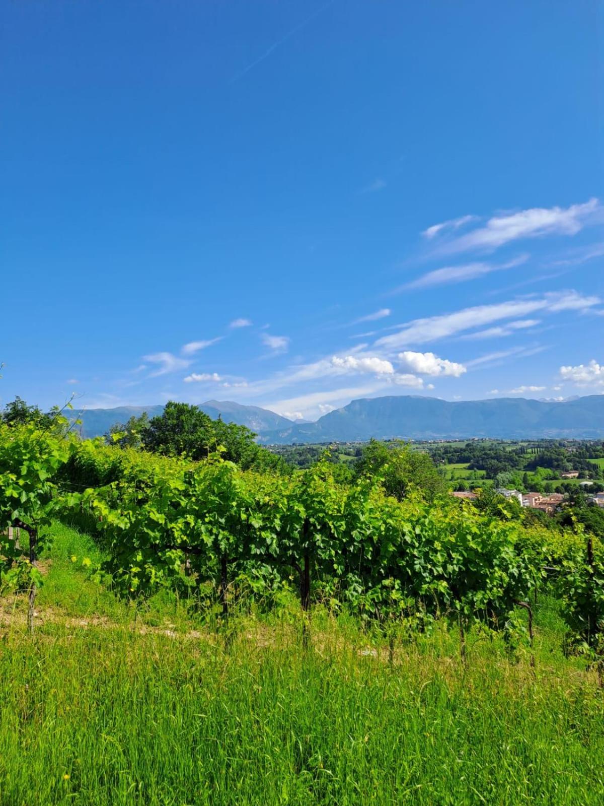 Bed and Breakfast Casa Di Tuco Conegliano Zewnętrze zdjęcie